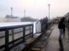 dsc08570_small.jpg