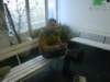 dsc08574_small.jpg