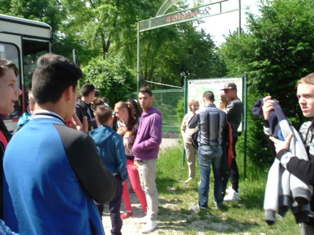 dscf0065.jpg