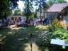 dsc08376_small.jpg