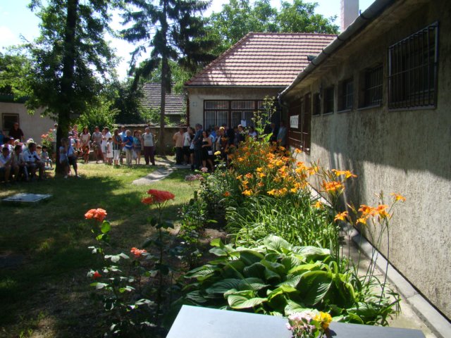 dsc08378.jpg