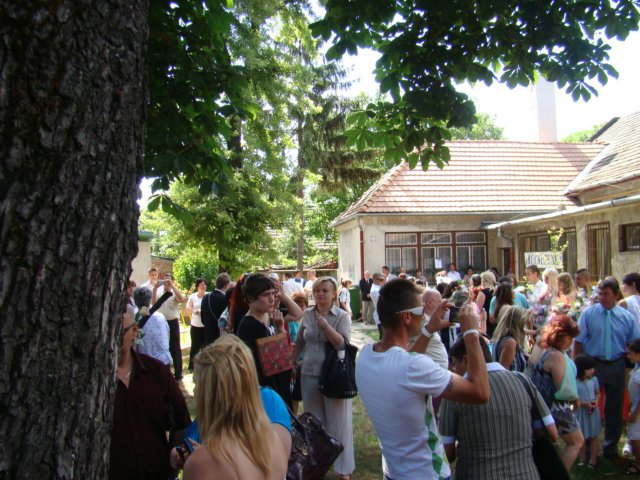 dsc08390.jpg