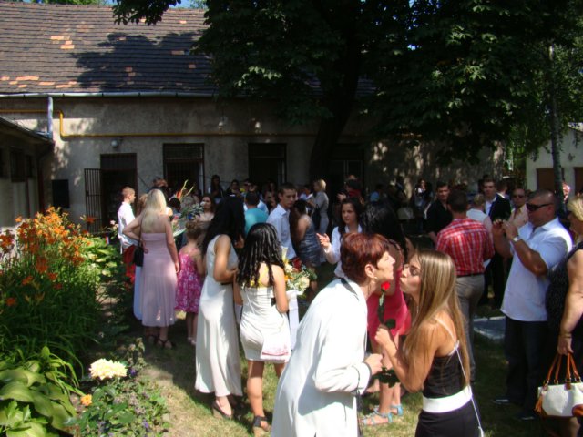 dsc08394.jpg