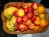 dsc08993_small.jpg