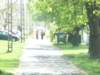 p1090345_small.jpg