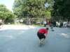 p1070261_small.jpg