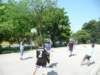 p1070285_small.jpg