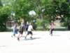 p1070287_small.jpg