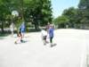 p1070312_small.jpg