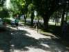 p1100533_small.jpg