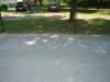 dsc05449_small.jpg