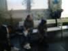 dsc09020_small.jpg