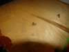 dsc08540_small.jpg