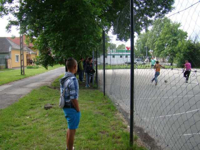 tb2013013.jpg