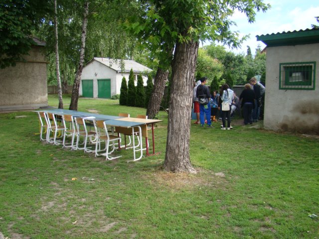 tb2013026.jpg