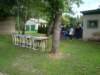 tb2013026_small.jpg