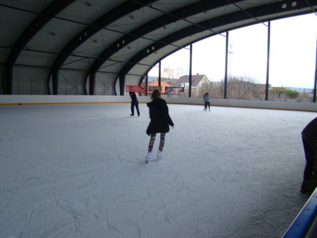 dsc09512.jpg