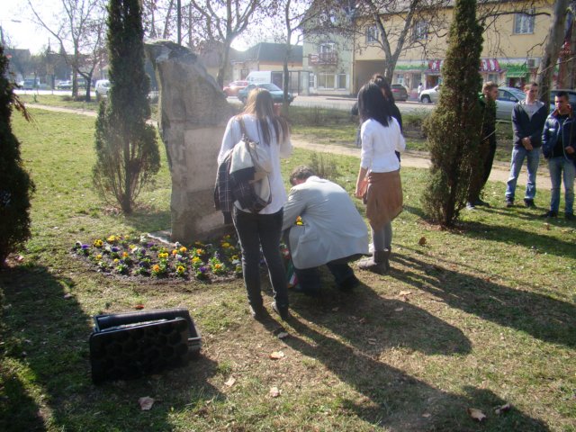 dsc08220.jpg