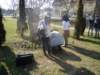 dsc08220_small.jpg