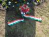 dsc08222_small.jpg