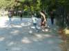 p1110298_small.jpg