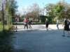 p1110302_small.jpg
