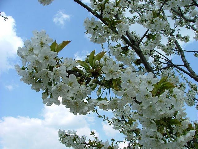 _dscf5583.jpg