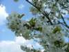 _dscf5583_small.jpg