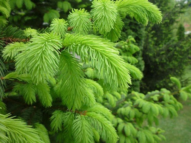 _p1040327.jpg